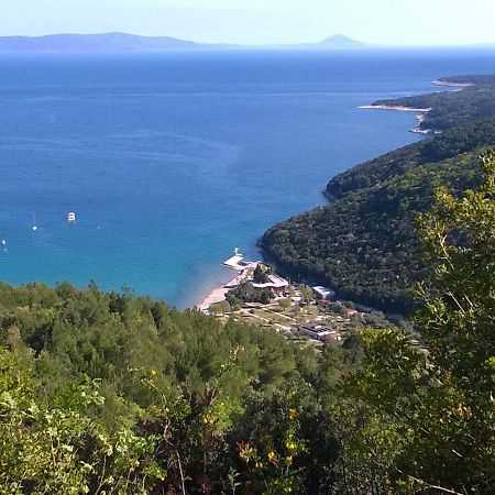 North Adriatic View Apartment Rabac Extérieur photo