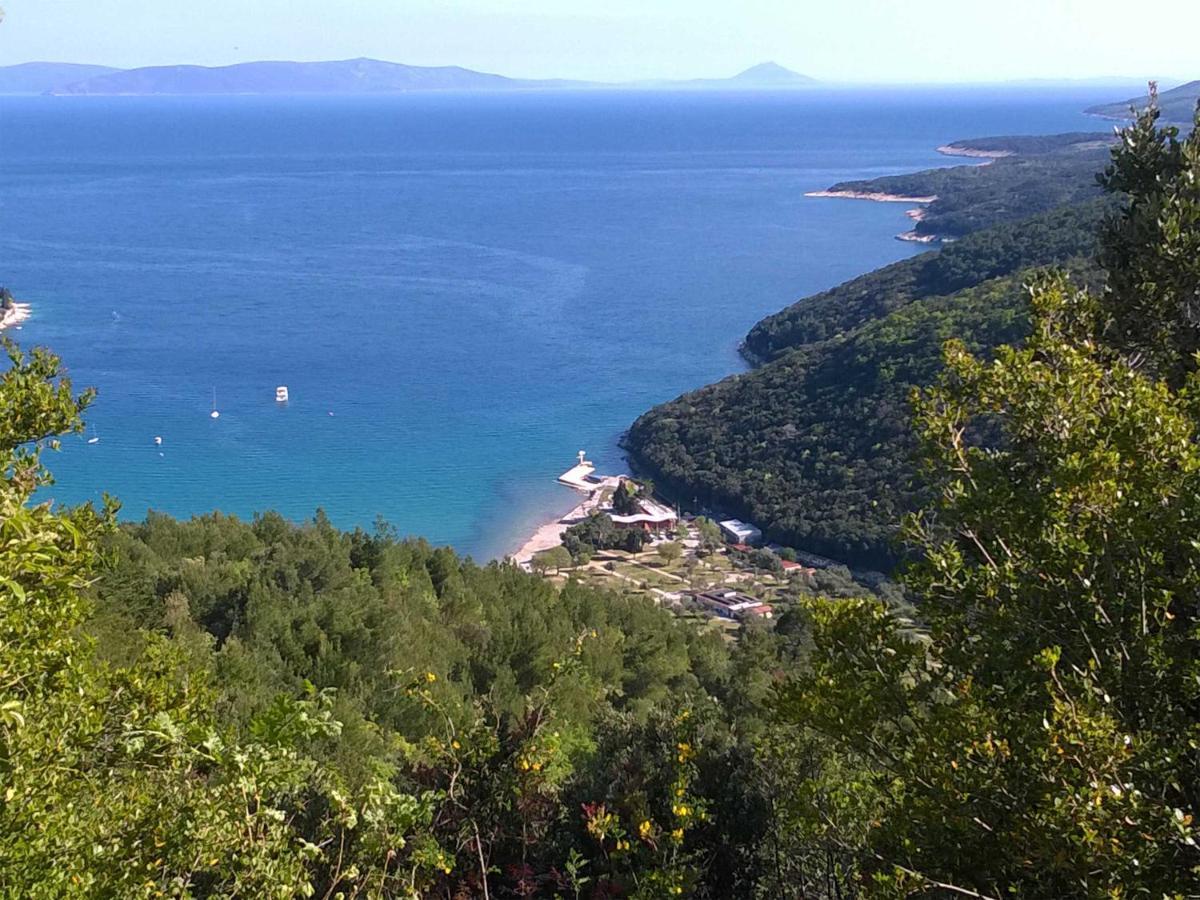 North Adriatic View Apartment Rabac Extérieur photo